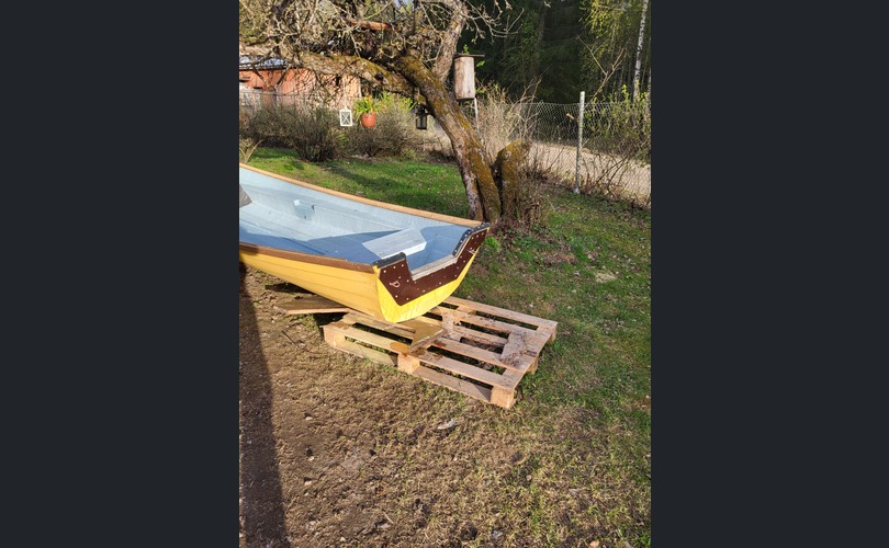 Kuningas Palta Soutuvene-kuva-4